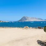 Ginepri