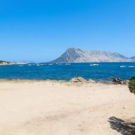 Ginepri San Teodoro (Sardinia)