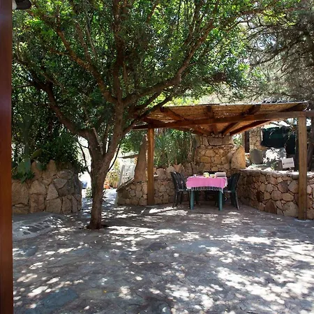 Ginepri